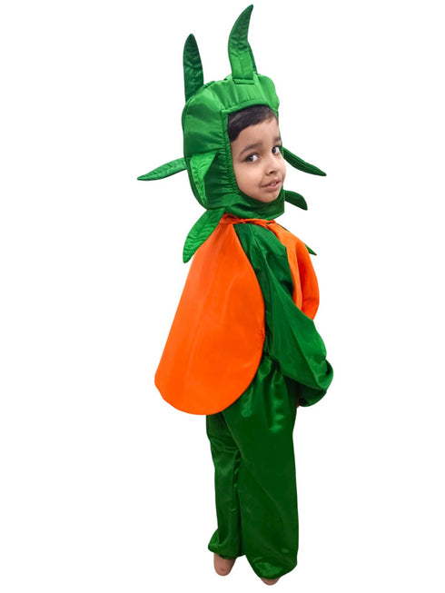 BookMyCostume Orange Santra Kinnow Fruit Kids Fancy Dress Costume